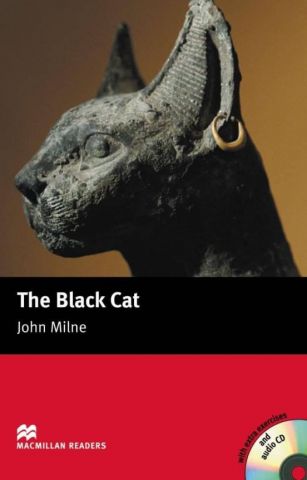2nd Term:  The Black Cat